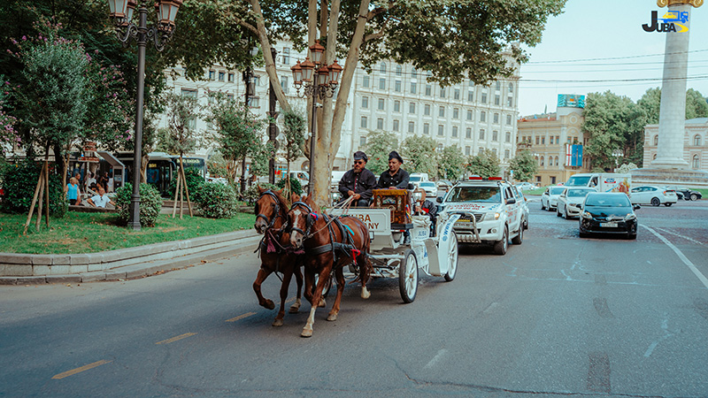 მთავარი გალერეა